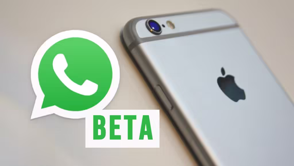 WhatsApp Channel Alerts: Función en despliegue para beta de Android en México